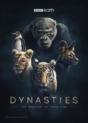 Dynasties 2018